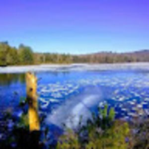 Meet your Posher, Positivp